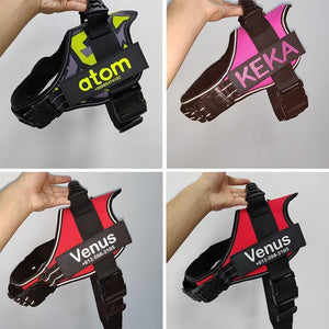 Personalized NO CHOKE Dog Harness