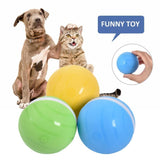 Motion Ball For Pets