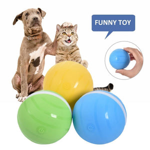Motion Ball For Pets