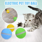 Motion Ball For Pets