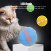 Motion Ball For Pets